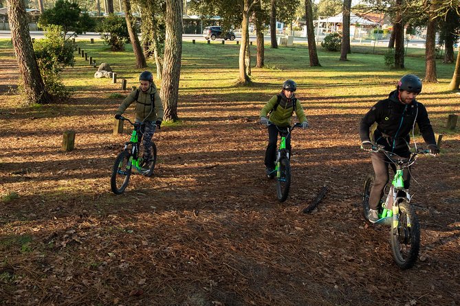 Leisure ride on an electric scooter - What You Learn About the Coast: Flora and Local History Without the Lecture
