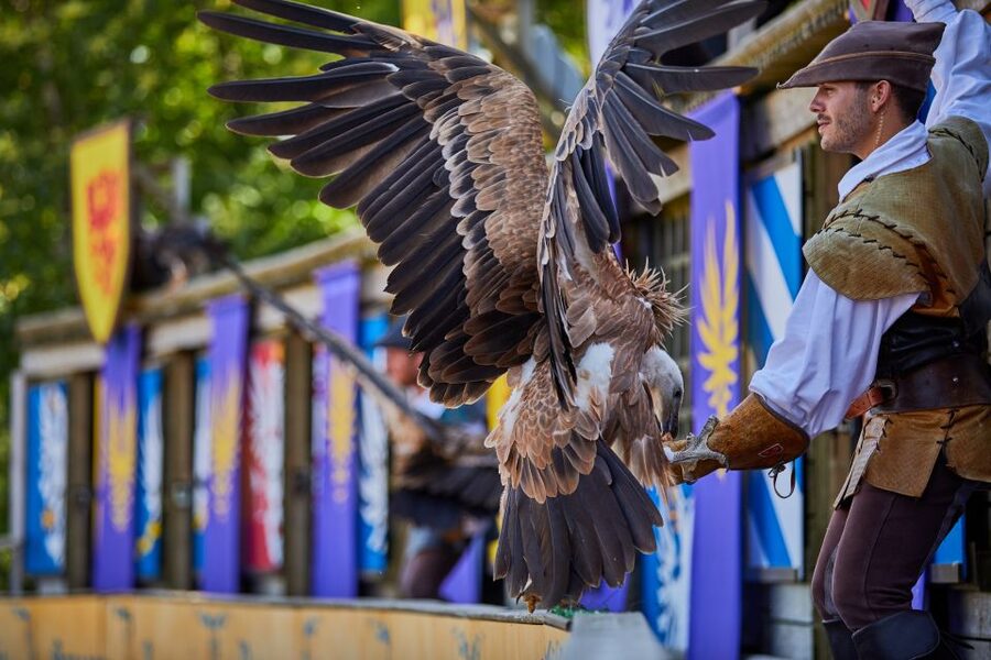 Les Epesses: Puy du Fou Theme Park 1-Day Entry Ticket - Getting to Puy du Fou: car, TGV, shuttles, and timing