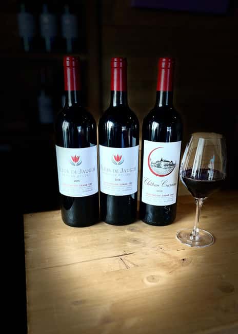 Libourne: Winery Tour with Wine and Chocolate Tasting - Who should book this tour