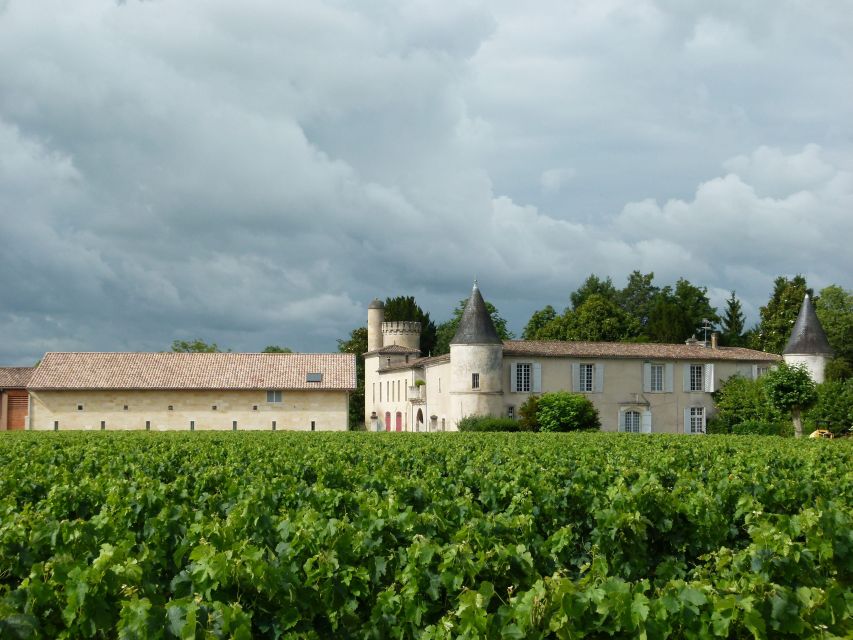 Libourne: Winery Tour with Wine and Chocolate Tasting - Price and logistics, explained like you’ll actually use them