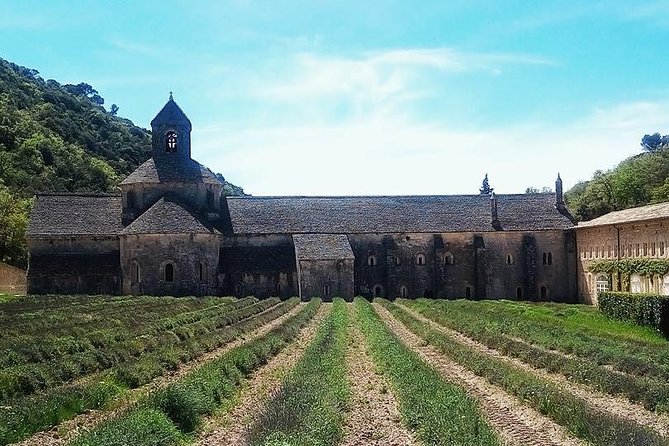 Luberon Market & Villages Day Trip from Aix-en-Provence - Apt: Saturday market energy, plus a note on crowding