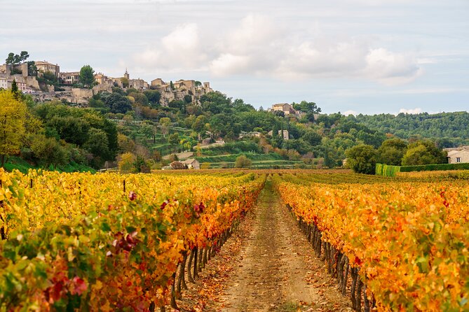 Luberon Small-Group Day Trip from Avignon - Ménerbes, Fortified Streets, and Peter Mayle Connections