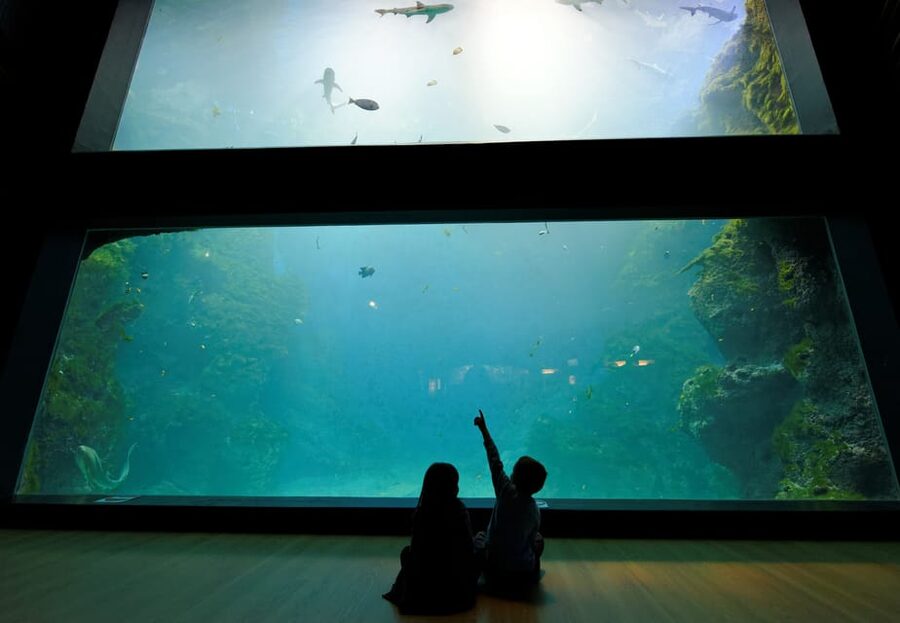 Lyon: Aquarium Entrance Ticket - Price and value: when this entrance ticket makes sense