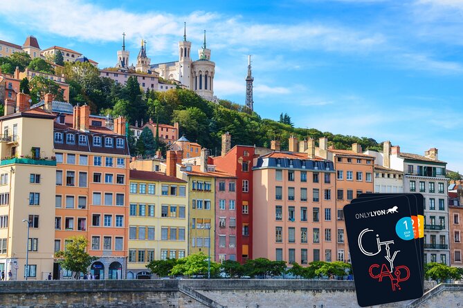 Lyon City Card Public Transportation & 40 attractions - Roman, art, and odd museums: fill time without wasting it