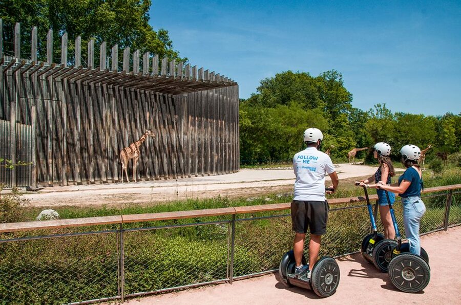 Lyon: City Segway Tour with a Local Guide - Cruise into Parc de la Tête dOr: gardens, the zoo, and breathing room