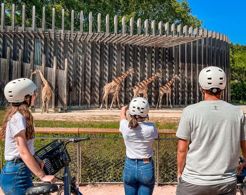 Lyon: Guided City Bike Tour - Place Bellecour to the Rhône Again: Lyon’s Center of Gravity