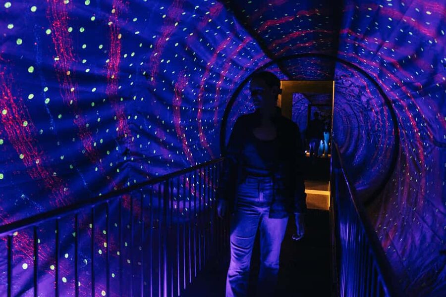 Lyon: Musée de l’illusion Entrance Ticket - Museum of Illusions in Lyon: what you do in 1 hour