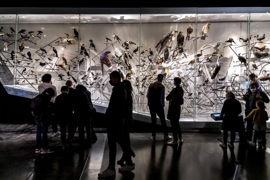 Lyon: Musée des Confluences Entrance Ticket - Key highlights to know before you go