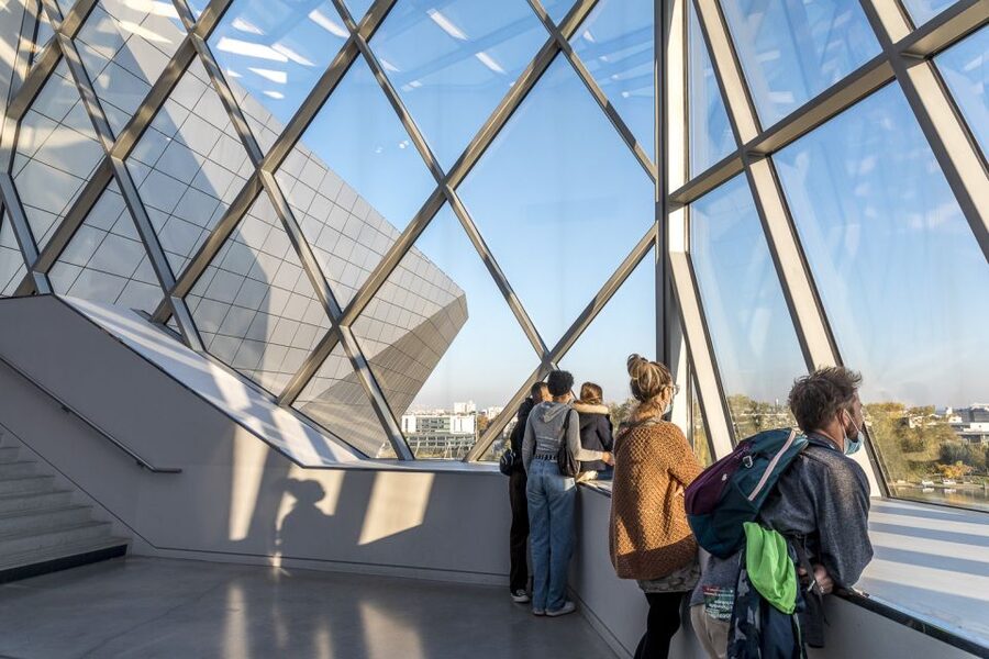 Lyon: Musée des Confluences Entrance Ticket - Species: the mammoth skeleton and fossils that stop you cold