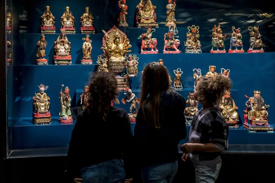 Lyon: Musée des Confluences Entrance Ticket - Collections on a large scale: 3.5 million objects and five centuries