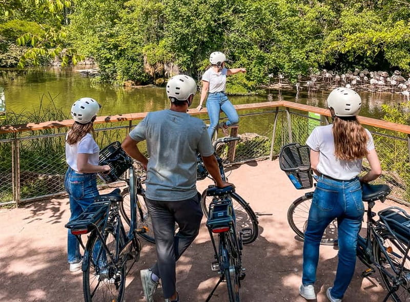 Lyon: Tête d'Or park on an electric bike Tour - Back to the Old Town: Saône Quays and Vieux Lyon UNESCO Core