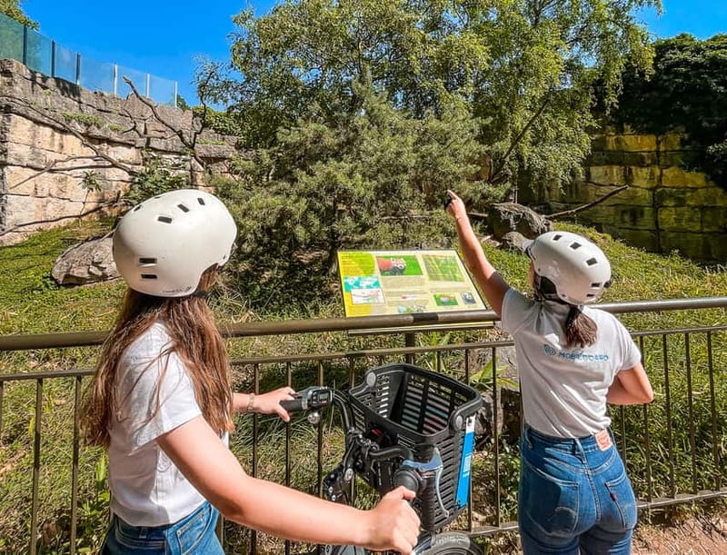 Lyon: Tête d'Or park on an electric bike Tour - Price and Value: Is $41 for 2 Hours a Smart Use of Time?