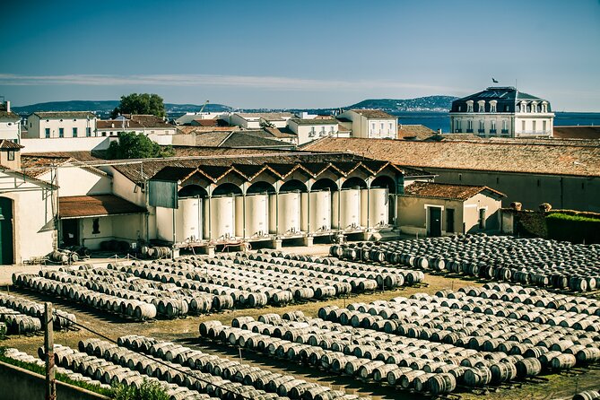 Maison Noilly Prat VIP tour, wine and vermouth tastings - Key highlights you will actually remember
