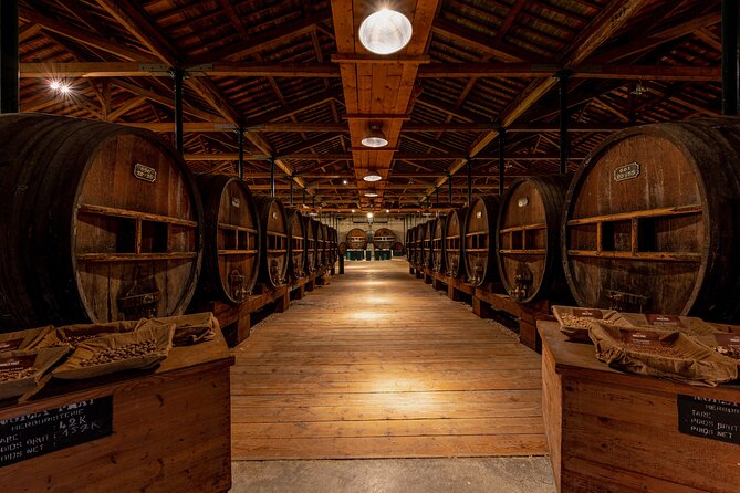 Maison Noilly Prat VIP tour, wine and vermouth tastings - Maison Noilly Prat, Marseillan, and why this tour feels special