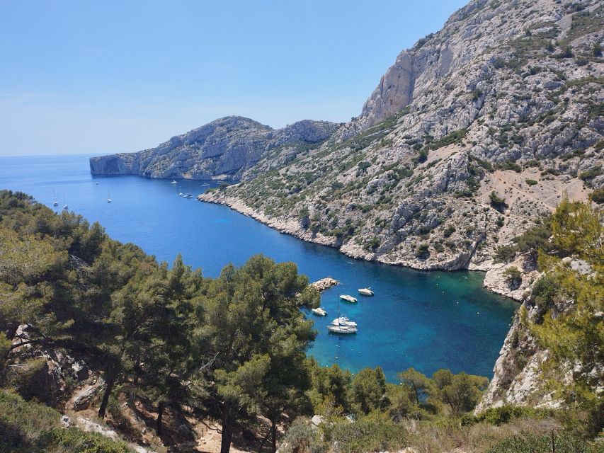 Marseille: Guided Hiking Calanques National Park from Luminy - Luminy to the Calanques: what makes this hike special