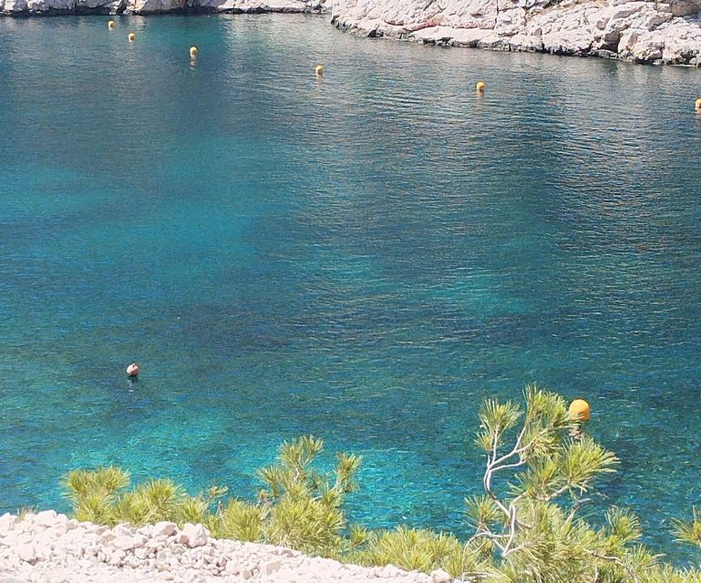Marseille: Guided Hiking Calanques National Park from Luminy - Picnic of local foods: the energy reset you will actually feel