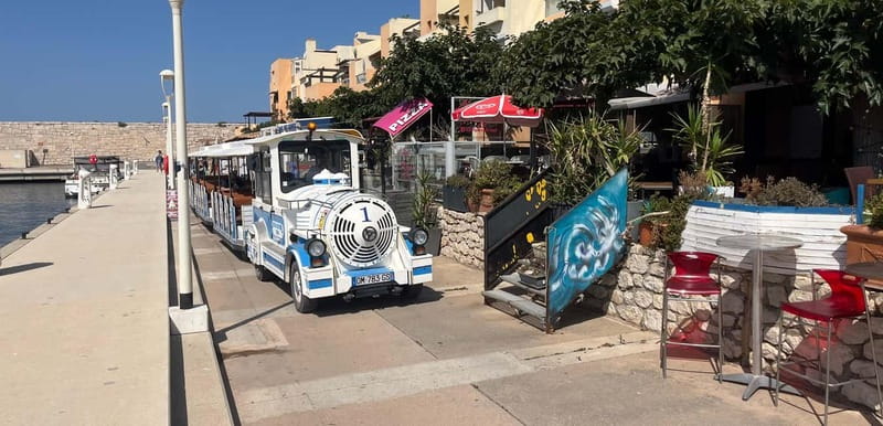 Marseille: Set sail for the Château d'If and the Frioul Islands - Step aboard: small-group vibe, guide in English or French