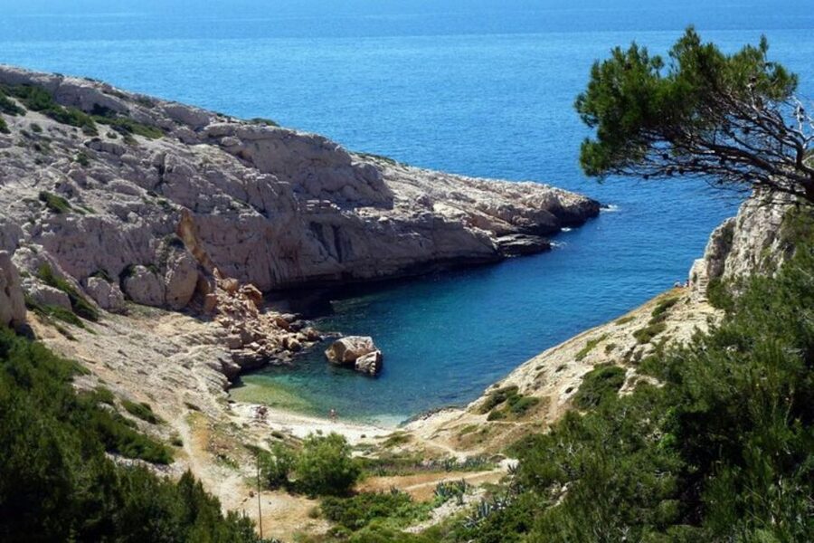 Marseilles: Private Custom Tour with a Local Guide - Guides you may encounter, and what to ask them for