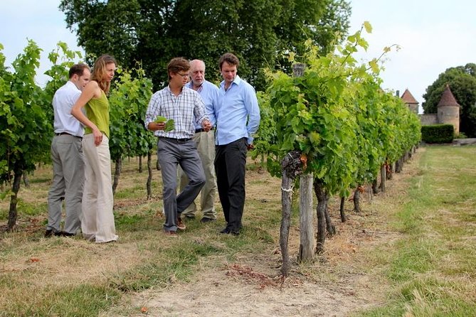 Medoc or Saint Emilion Wine Tasting and Chateau from Bordeaux - Picking Médoc vs Saint-Émilion: which vibe fits you?