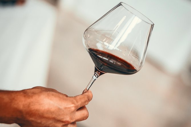 Medoc Region Wine Day Trip with Vineyard Visits & Tastings from Bordeaux - Key Things to Know Before You Go