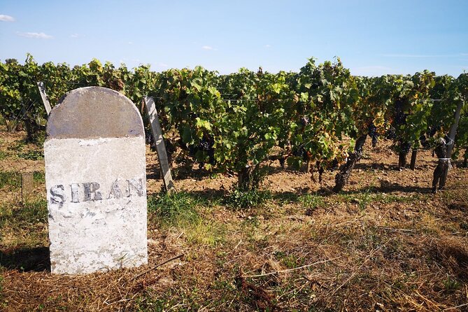 Medoc Region Wine Day Trip with Vineyard Visits & Tastings from Bordeaux - Pauillac Break: Where You Can Choose Your Pace