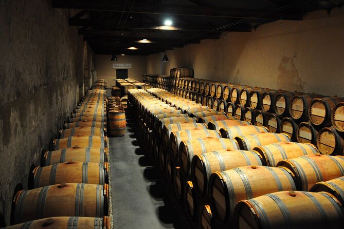 Medoc Region Wine Day Trip with Vineyard Visits & Tastings from Bordeaux - The Wine Stops: Big Names, Different Experiences