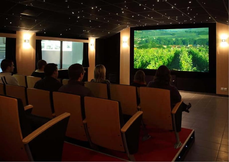 Meunier Champagne Experience tour - Passy-Grigny - Key Highlights You Should Care About