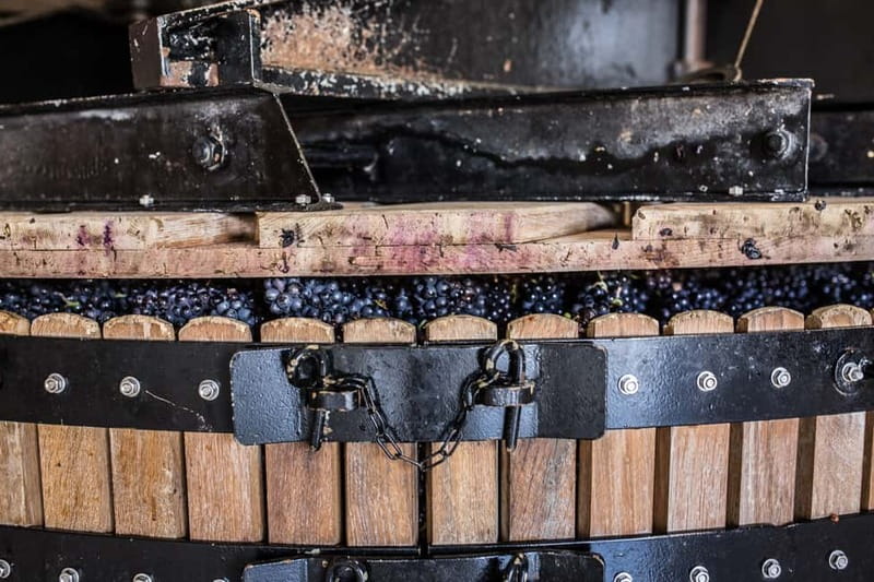 Meunier Champagne Experience tour - Passy-Grigny - Where Passy-Grigny Champagne Starts, and How You’ll Get There