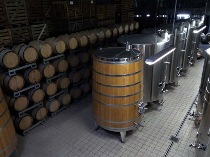 Meunier Champagne Experience tour - Passy-Grigny - Should You Book the Meunier Champagne Experience in Passy-Grigny?