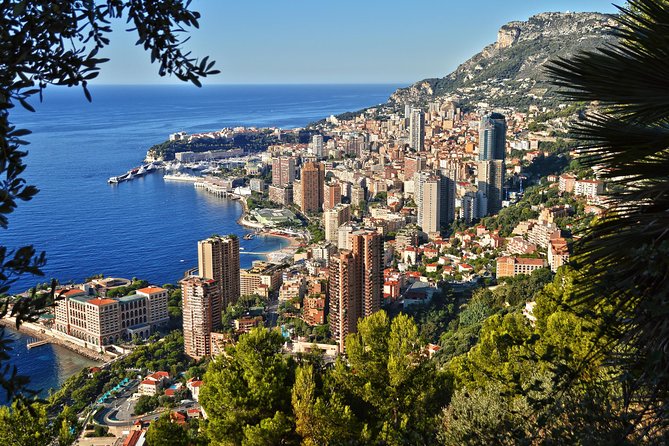Monaco and Eze Small Group Day Trip from Cannes - Key highlights I think you’ll care about