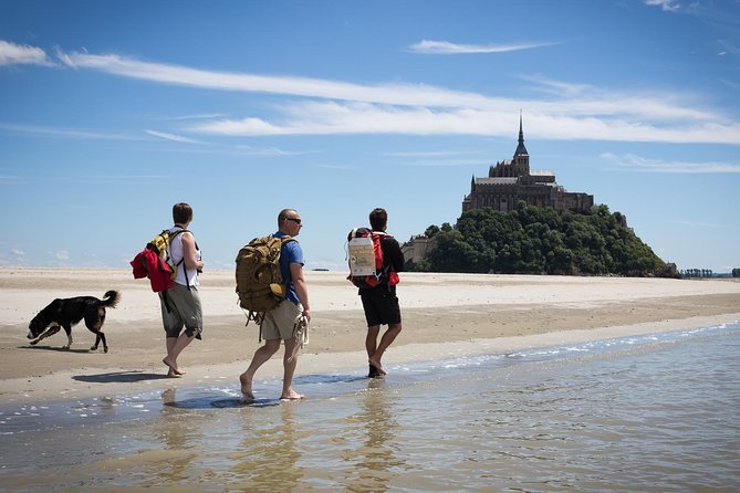Mont-Saint-Michel bay walk - Quick Reasons This Bay Walk Works
