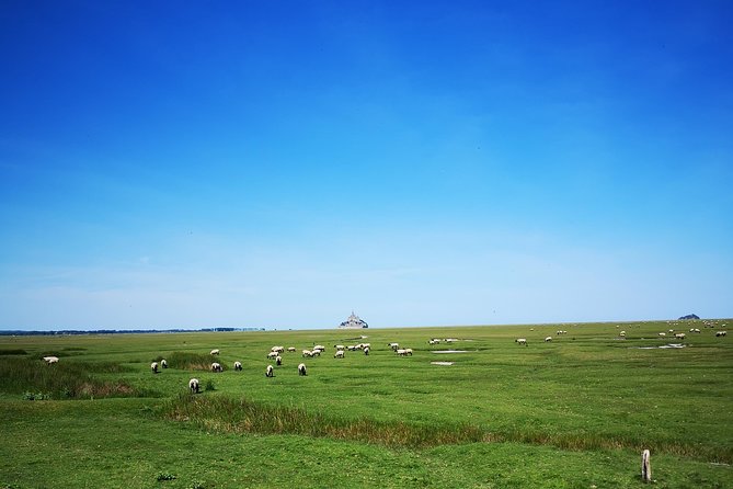 Mont Saint-Michel Day Trip from Bayeux (Shared tour) - Shuttle vs walking back: when the extra effort pays off