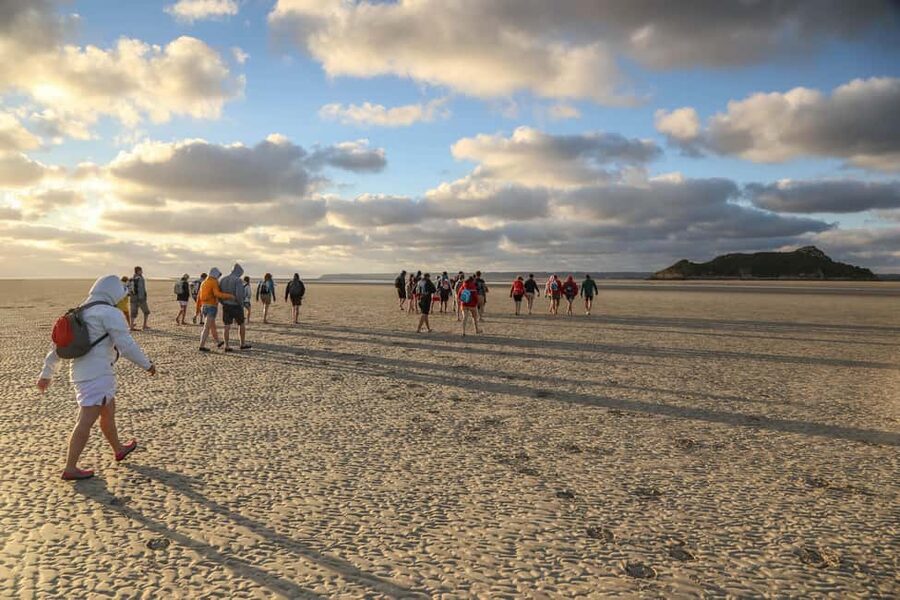 Mont-saint-Michel : Walk in the heart of the Bay - Key things to know before you walk the Bay