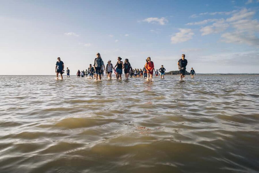 Mont-saint-Michel : Walk in the heart of the Bay - Timing, pace, and weather: why you should pack for wind and surprise rain