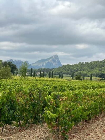 Pic Saint-Loup Wine Tour