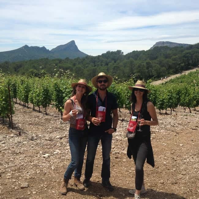 Montpellier: Pic Saint-Loup Wine Tour - What the guide adds: Bertrand’s style, humor, and French wine talk