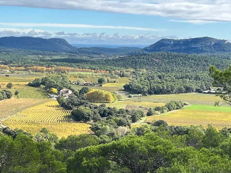 Montpellier: Pic Saint-Loup Wine Tour - Practical tips for getting the most out of the day