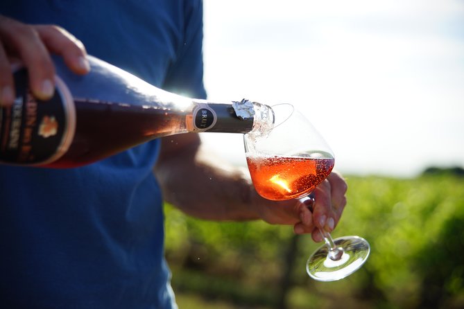 Morning - Loire Valley Wine Tour & Food Pairing, Vouvray - Key highlights worth booking for
