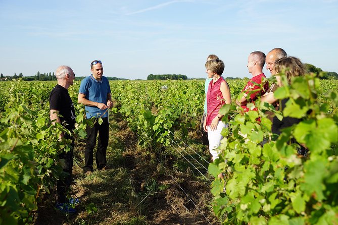 Morning - Loire Valley Wine Tour & Food Pairing, Vouvray - From Tours at 9:00, a smart half-day plan