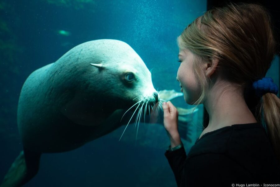 Nausicaá National Sea Center: Full-Day Entry Ticket - Who this experience fits best