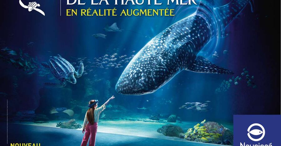 Nausicaá National Sea Center: Full-Day Entry Ticket - The exhibitions: not just tanks, but a story of oceans, people, and climate