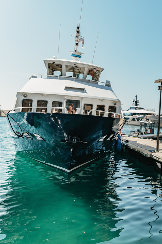 Nice: 1-Hour Sightseeing Cruise to Villefranche Bay - Key points worth knowing before you go