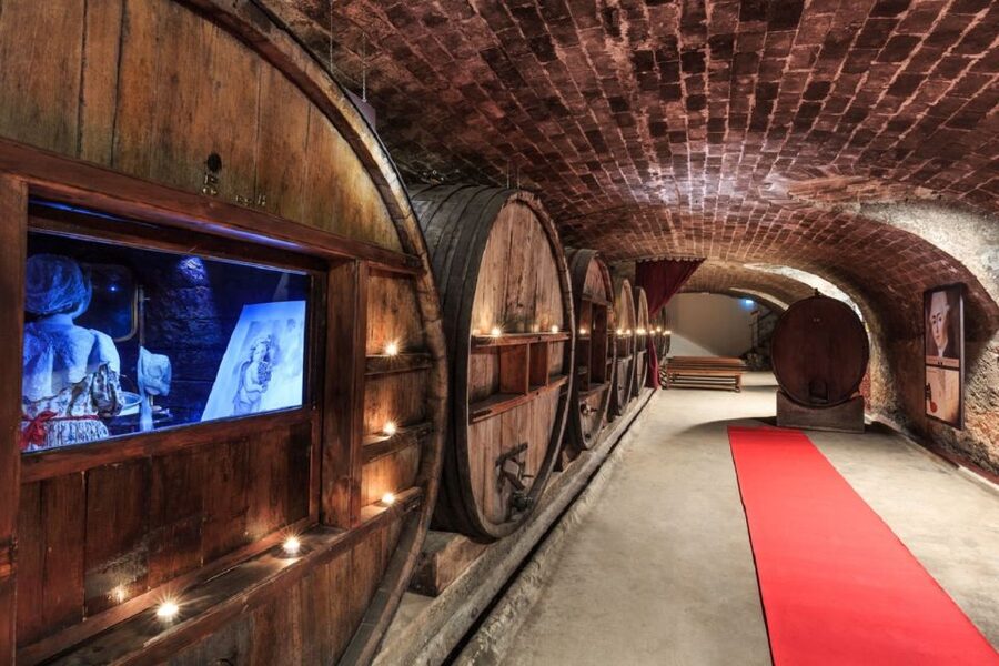 Nice: Full-Day Côtes de Provence Wine Tour - Key things I think you’ll enjoy most