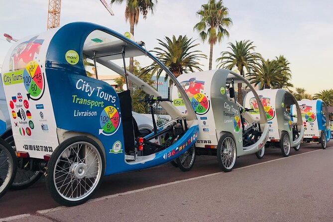 Nice: private guided Tour by electric taxi bike - Grand Tour: Port district Pointus, Place Garibaldi, and the Coulée Verte