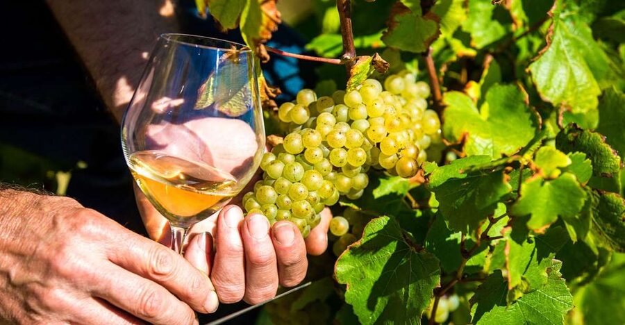 Nice: Provence Village Tour with Wine and Produce Tasting - Key Things That Make This Tour Worth Your Time