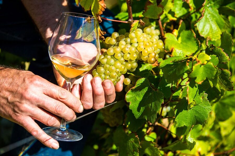 Nice: Provence Village Tour with Wine and Produce Tasting - Getting Started in Nice: Pickup, Air-Conditioned Comfort, and a Busy Day Done Right