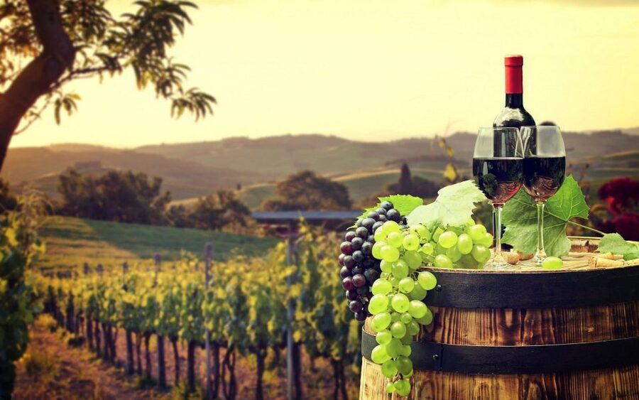 Nice: Provence Village Tour with Wine and Produce Tasting - Opio and the Olive-Grove Countryside Stop You’ll Actually Remember