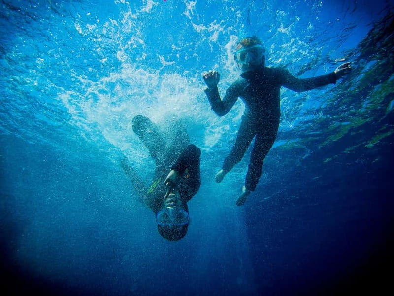 Nice: Snorkeling Speedboat Tour in Villefranche Bay - Key points before you go