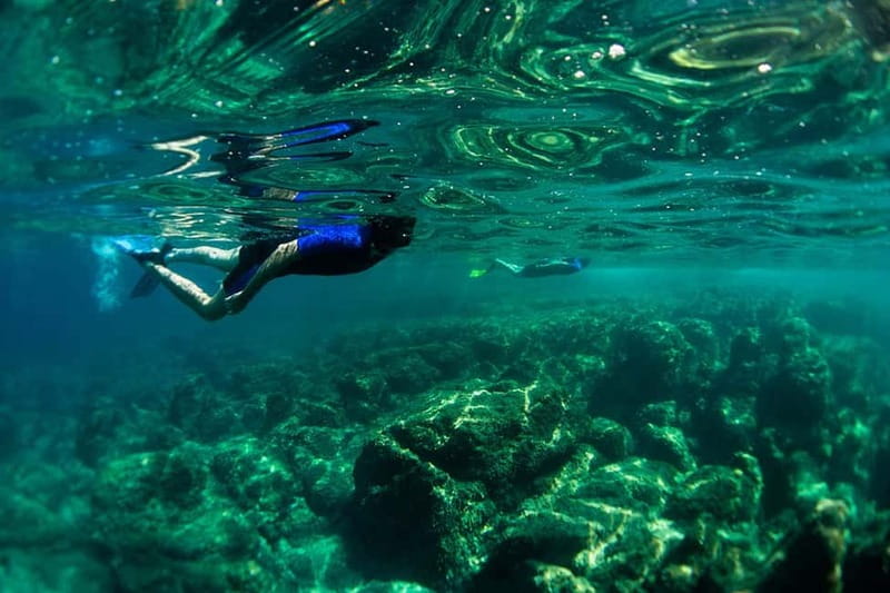 Nice: Snorkeling Speedboat Tour in Villefranche Bay - Speedboat snorkeling in Villefranche Bay for $70, is it worth it?