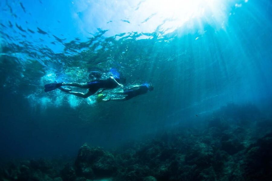 Nice: Snorkeling Speedboat Tour in Villefranche Bay - Villefranche-sur-Mer water time: your guided 1-hour swim and snorkeling session